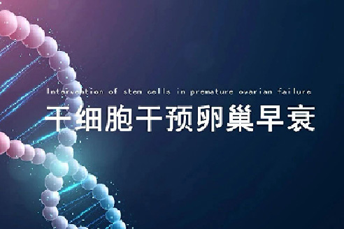 干细胞治疗卵巢早衰：揭秘女性健康与生育的新曙光
