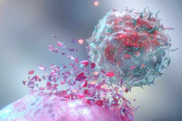 NK细胞也会“累”：慢性压力下，你的天然屏障怎样被耗尽？