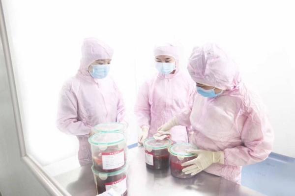 干细胞储存方式与注意事项