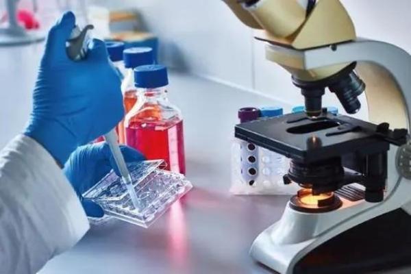 干细胞库怎么选？关键看这五点