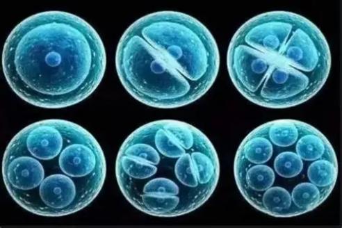 干细胞治疗卵巢早衰有副作用吗？