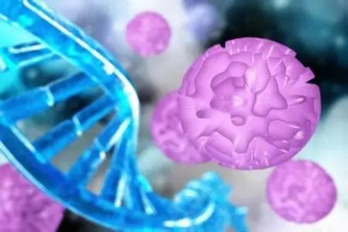 一分钟搞懂：卵巢专属干细胞和普通干细胞有啥不一样？