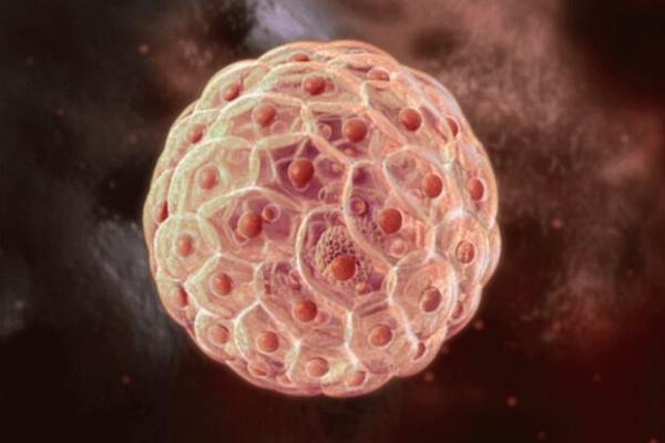 皮肤干细胞能修复皮肤吗？