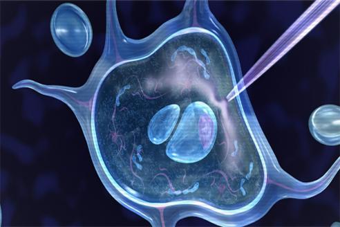 卵巢早衰做干细胞移植，有哪些常用的注射方式？