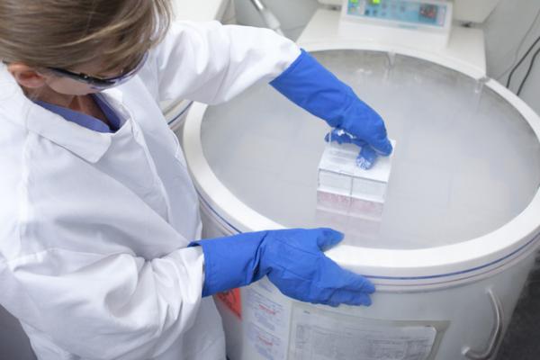 二胎家庭要不要再次存储干细胞？