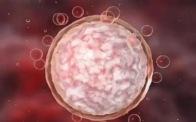 当干细胞遇上卵巢早衰：从抗衰到生育力拯救，医学新突破正在改写女性健康史